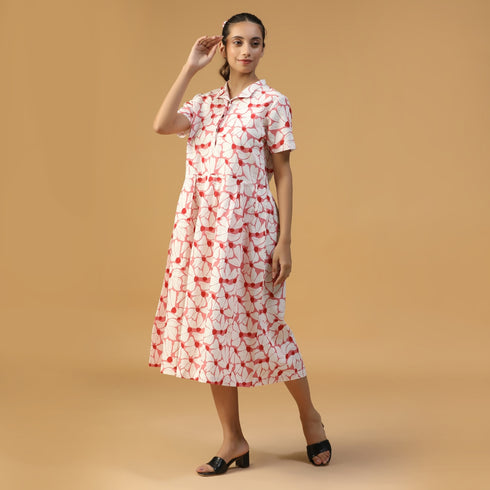 Collar Dress